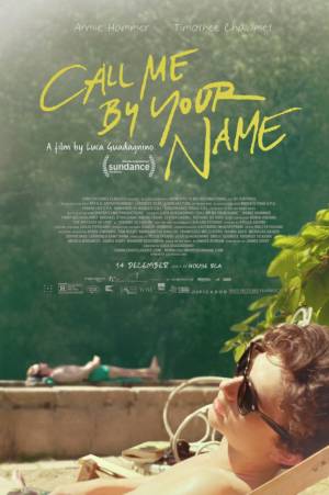 Зови меня своим именем / Call Me by Your Name обложка