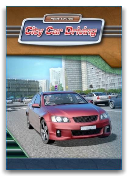 City Car Driving